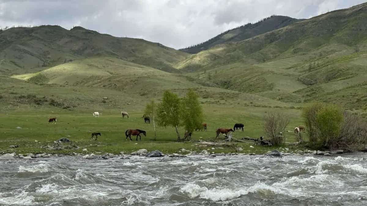 Алтай